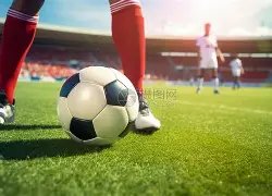 石天离世遗,愿揭露,愿简朴处理,英皇娱乐,英皇娱乐官网,英皇娱乐官网玩家首选